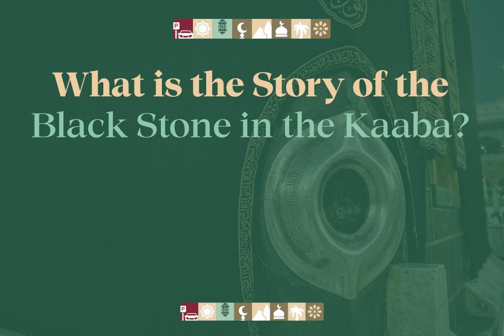 Featured article image