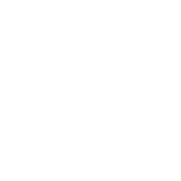 Content in multiple languages