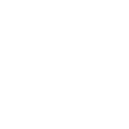 Convenient transport